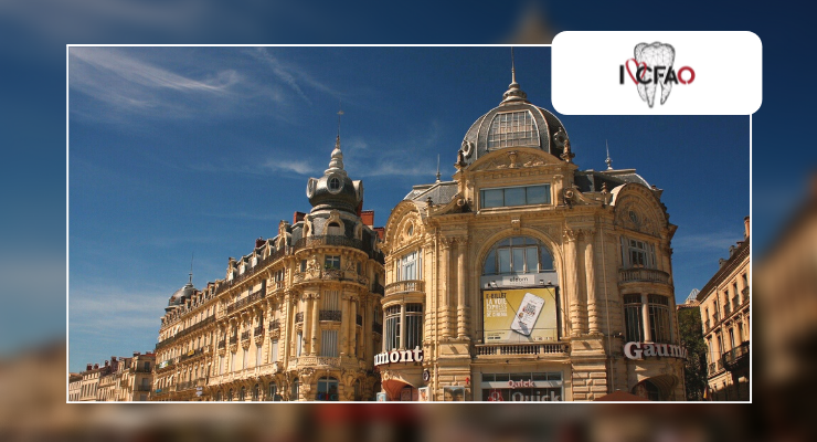 Montpellier I love CFAO Borea